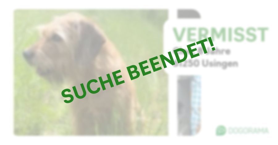 Suchmeldung-Cleo-Profilbild