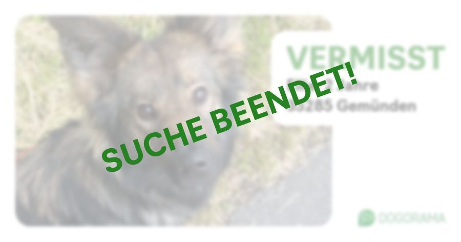 Suchmeldung-Ellie-Profilbild