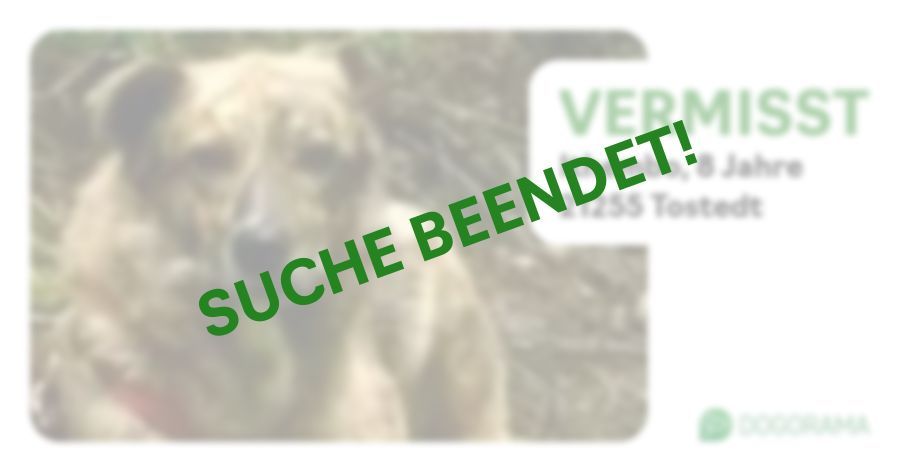 Suchmeldung-Ithembo-Profilbild