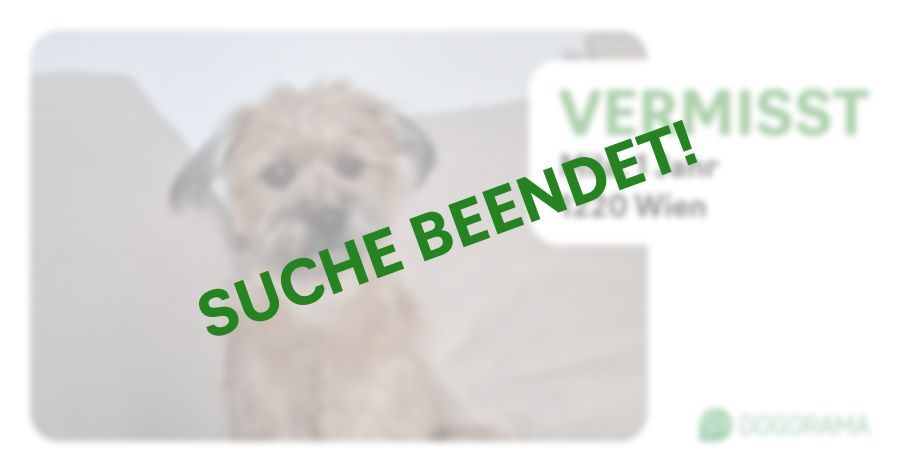Suchmeldung-Mila-Profilbild