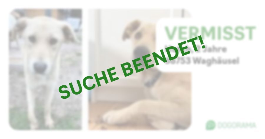 Suchmeldung-Hutch-Profilbild