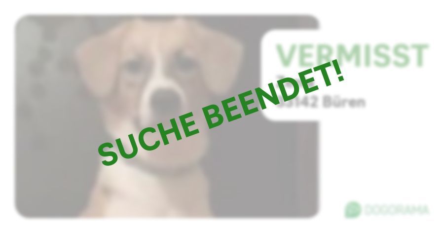 Suchmeldung-Zenia-Profilbild