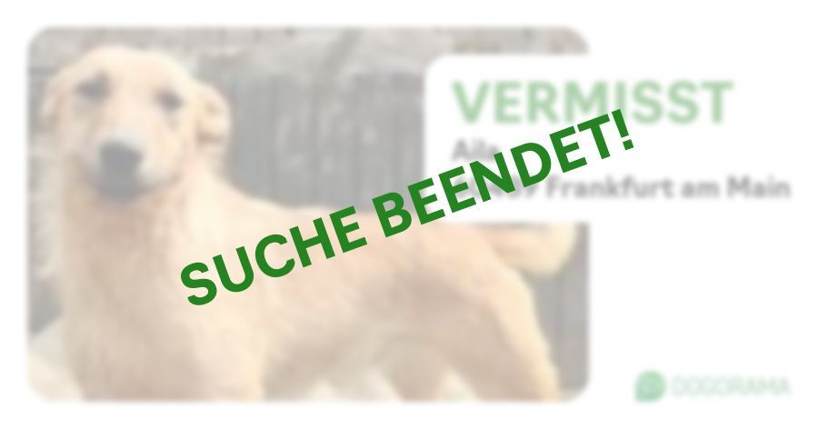 Suchmeldung-Aila-Profilbild