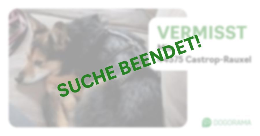 Suchmeldung-Mia-Profilbild