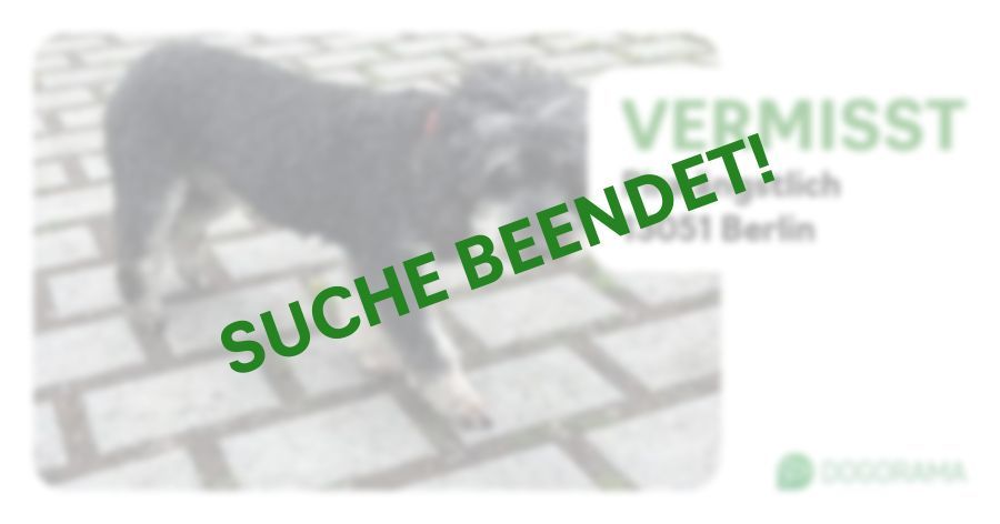Suchmeldung-Pira ängstlich-Profilbild