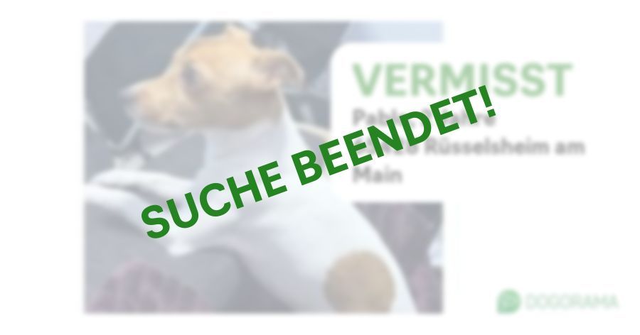 Suchmeldung-Pablo-Profilbild