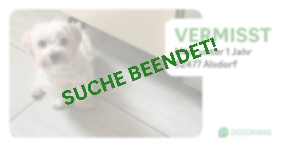 Suchmeldung-Milo-Profilbild
