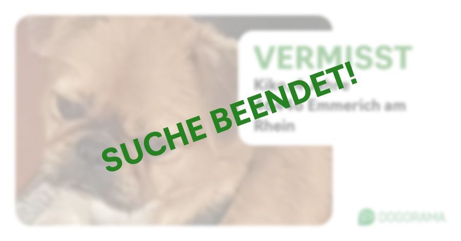 Suchmeldung-Kiko-Profilbild