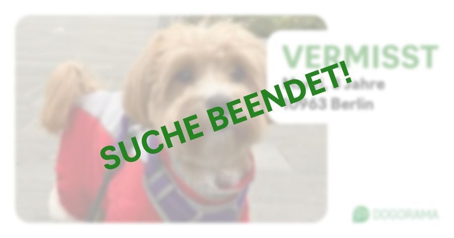 Suchmeldung-Marci-Profilbild