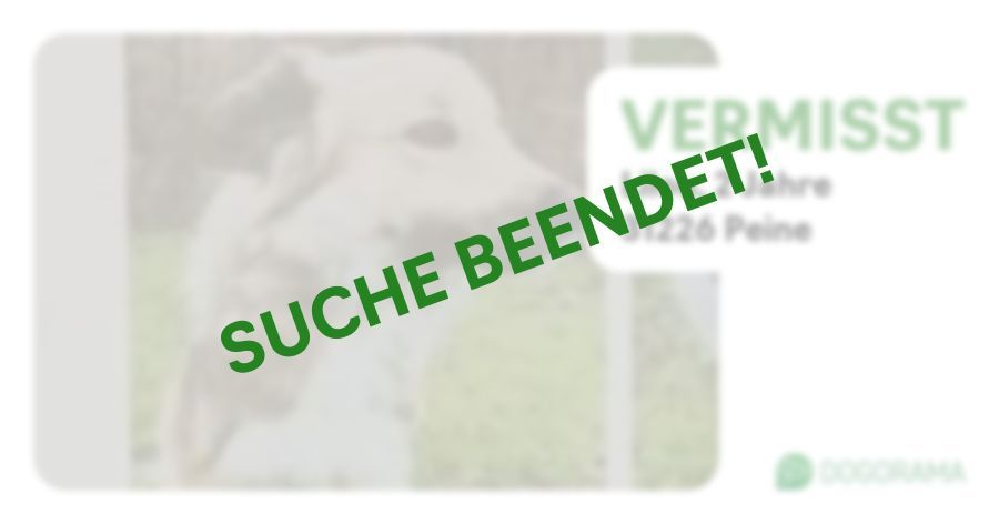 Suchmeldung-Lilou-Profilbild
