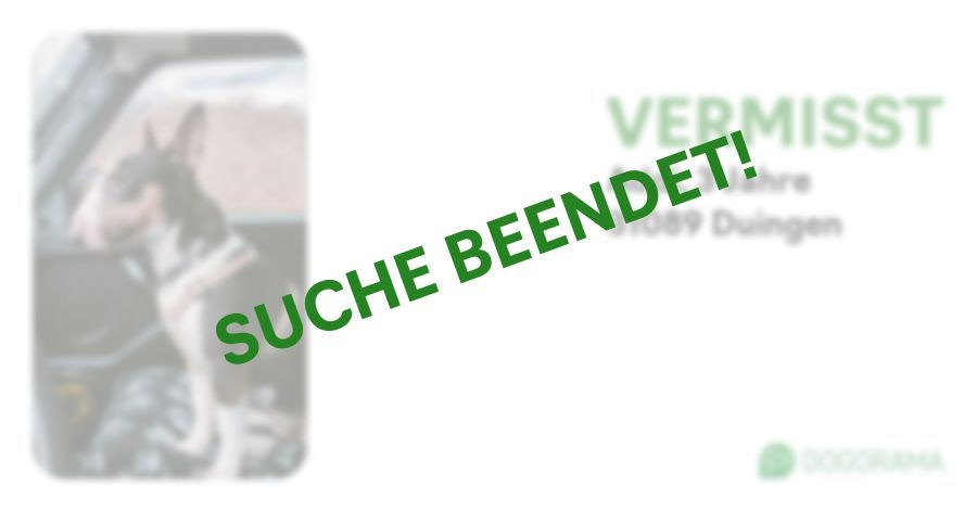 Suchmeldung-Addi-Profilbild