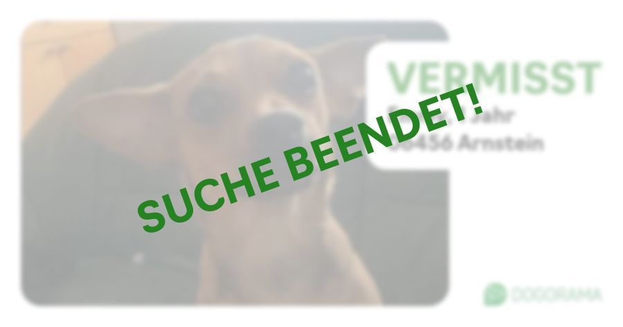 Suchmeldung-Emmy-Profilbild