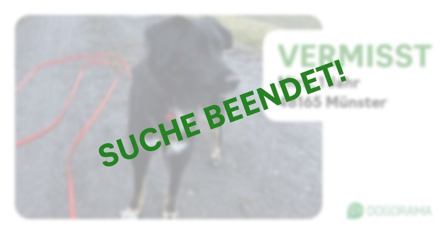 Suchmeldung-Mira-Profilbild