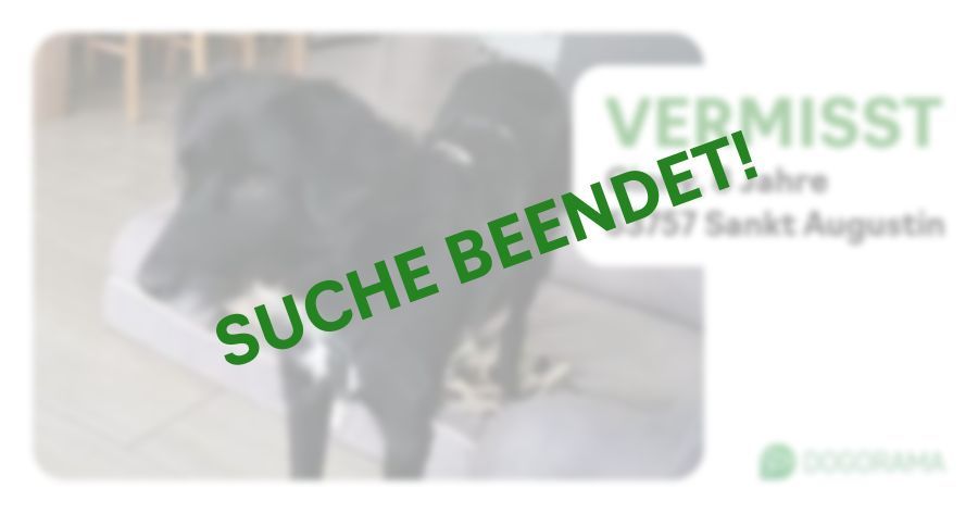 Suchmeldung-Ginny-Profilbild