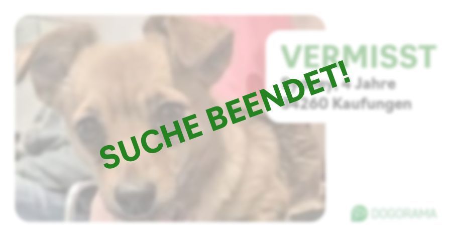 Suchmeldung-Sydney-Profilbild