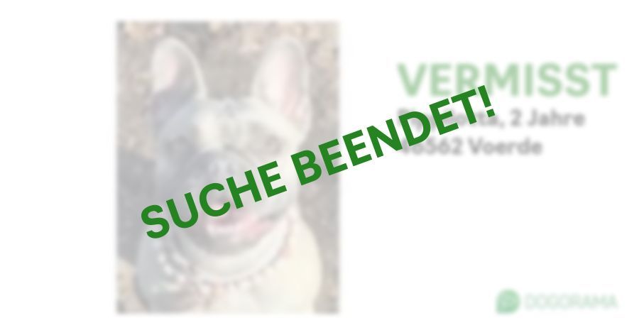 Suchmeldung-Pippilotta-Profilbild