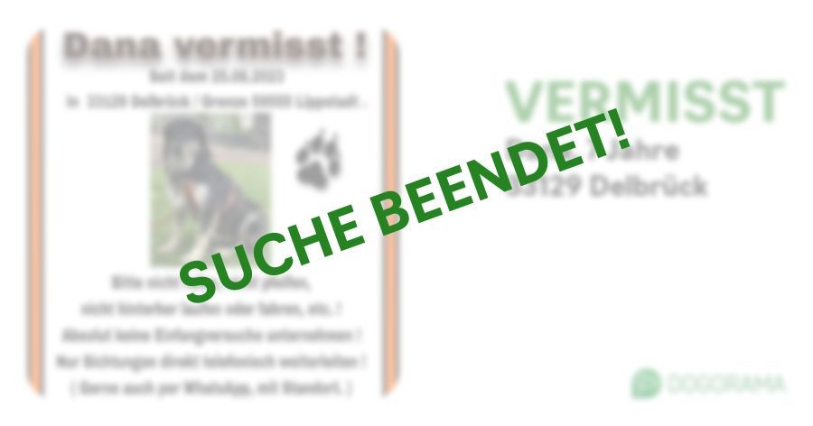 Suchmeldung-Dana-Profilbild