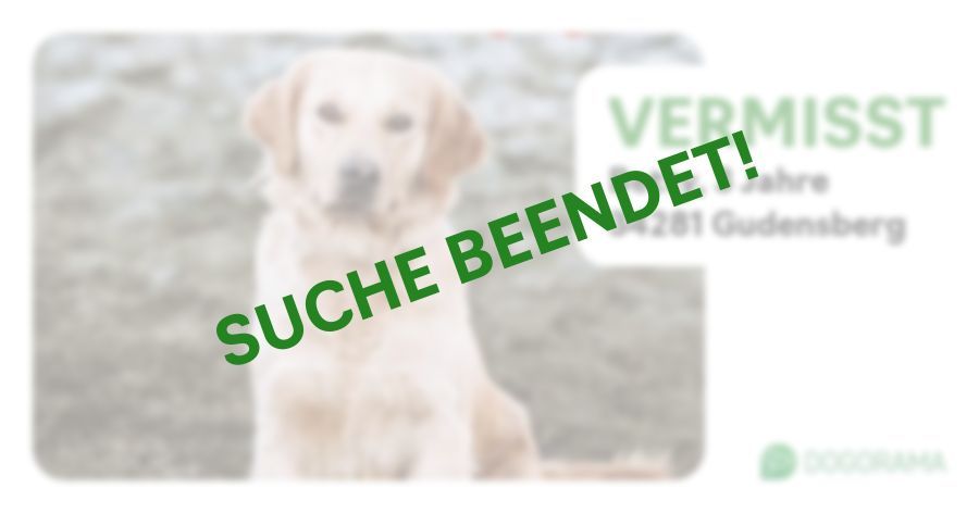 Suchmeldung-Betty-Profilbild