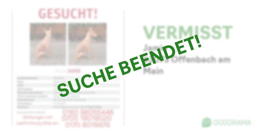 Suchmeldung-Jamie-Profilbild