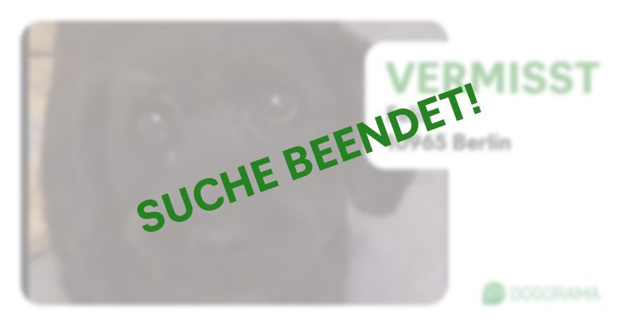 Suchmeldung-Felix-Profilbild