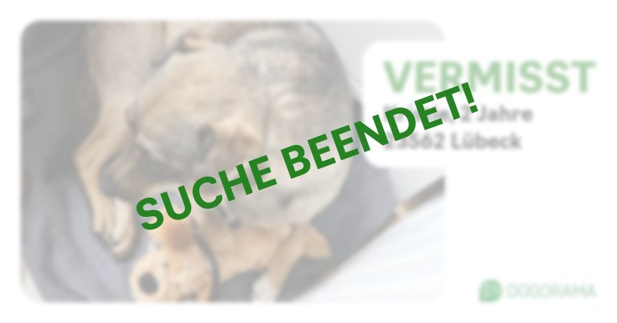 Suchmeldung-Kristie-Profilbild