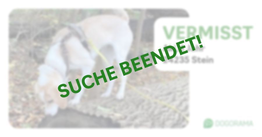 Suchmeldung-Aki-Profilbild