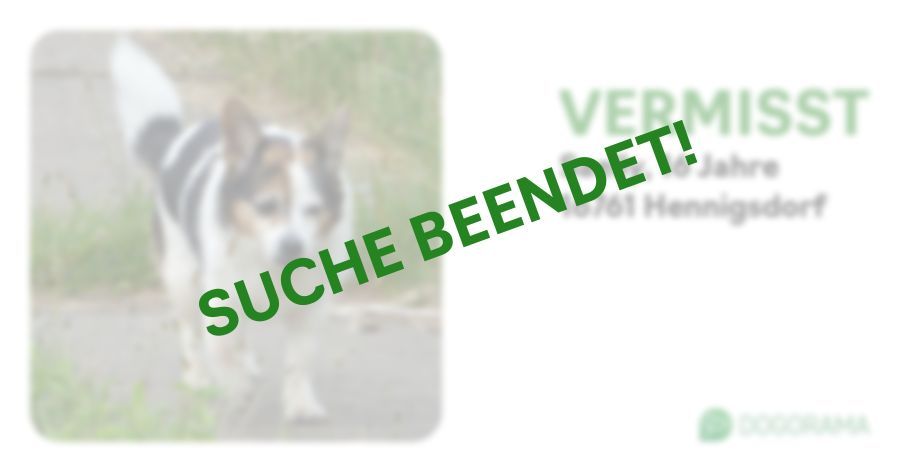 Suchmeldung-Saelly-Profilbild