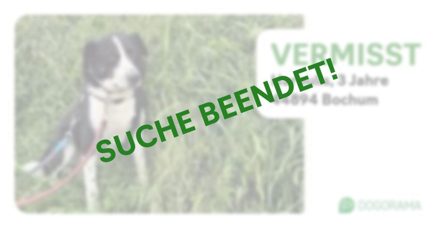 Suchmeldung-Haroulis-Profilbild