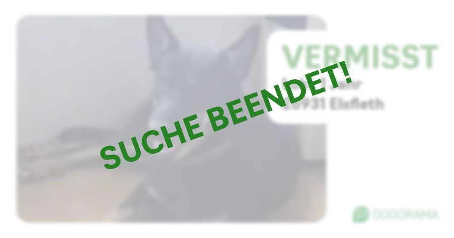 Suchmeldung-Loki-Profilbild