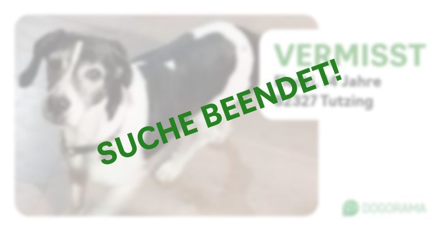 Suchmeldung-Flecki-Profilbild