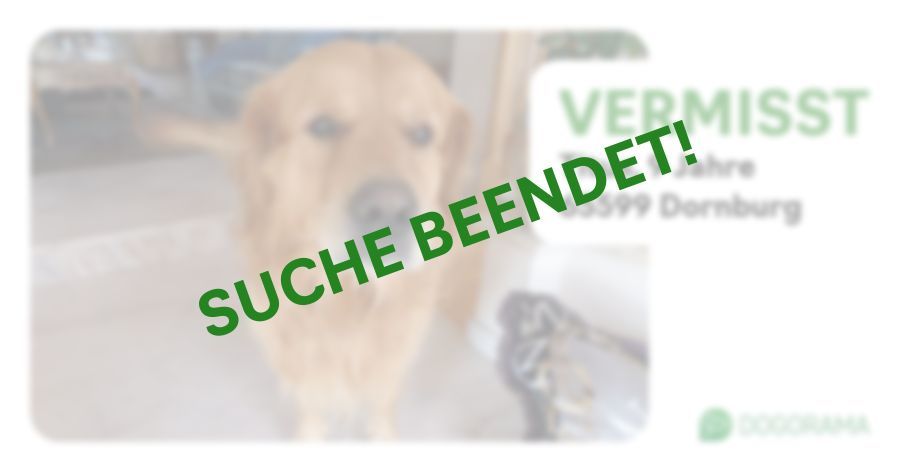 Suchmeldung-Titus-Profilbild