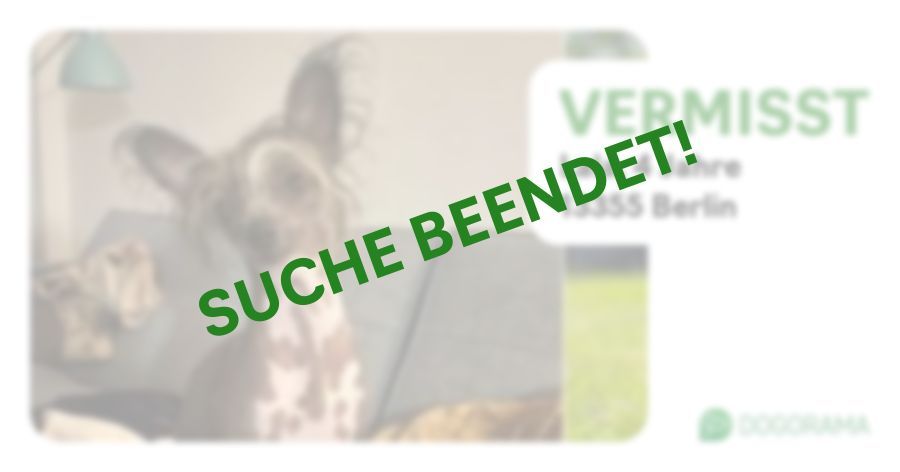 Suchmeldung-Lala-Profilbild