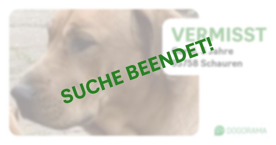 Suchmeldung-Gerdi-Profilbild