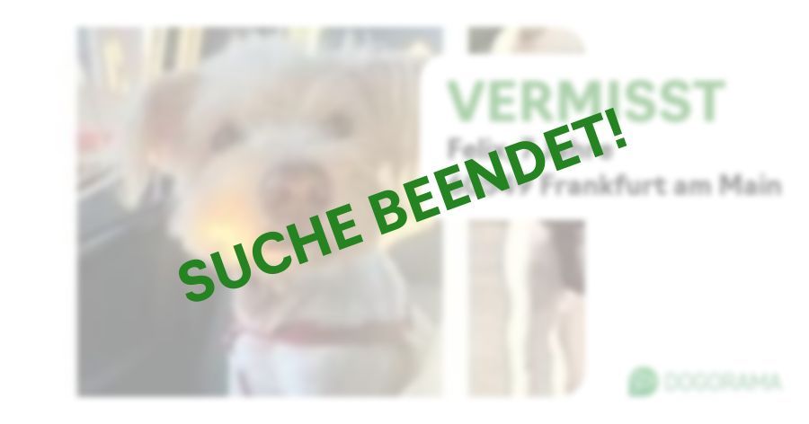 Suchmeldung-Felix-Profilbild