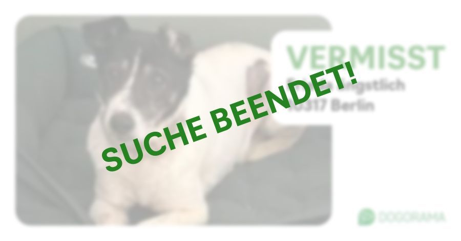 Suchmeldung-Frieda ängstlich-Profilbild