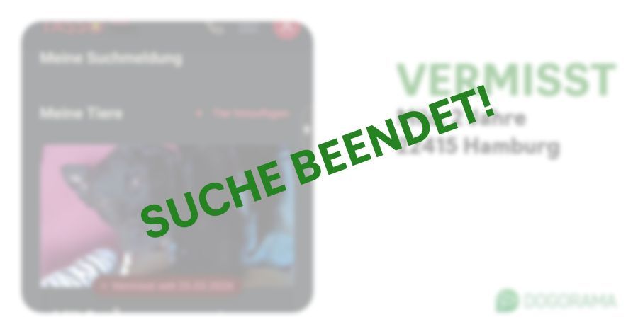 Suchmeldung-Milo-Profilbild