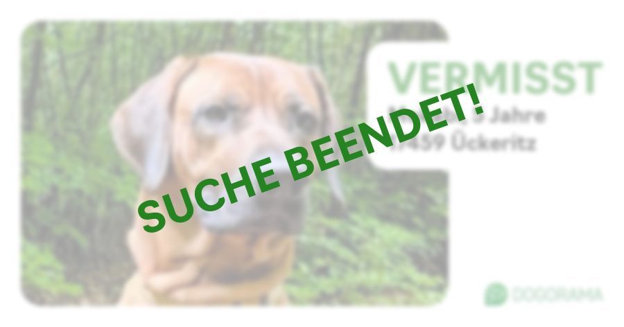 Suchmeldung-Mokabi-Profilbild