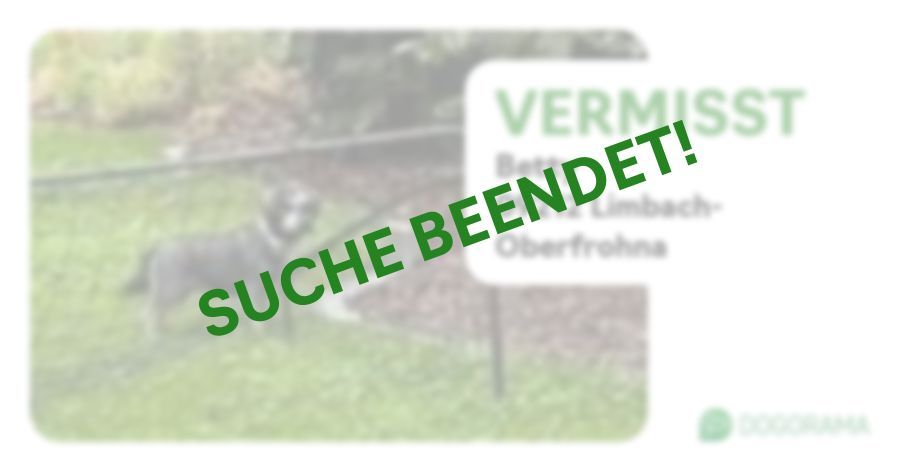 Suchmeldung-Betty-Profilbild