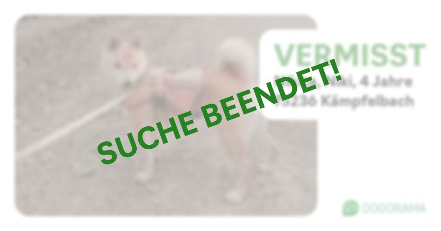 Suchmeldung-Nikita, Niki-Profilbild