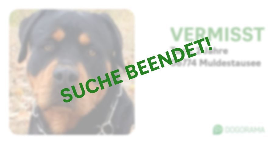 Suchmeldung-Tuco-Profilbild