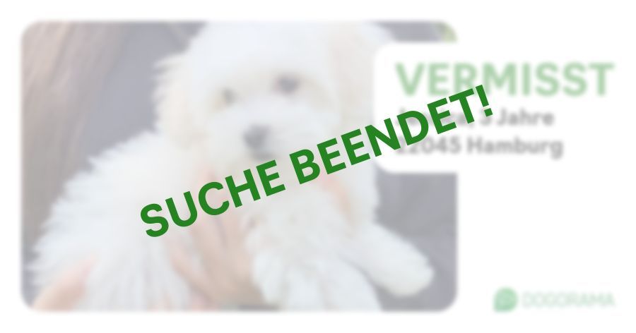 Suchmeldung-Jessica-Profilbild