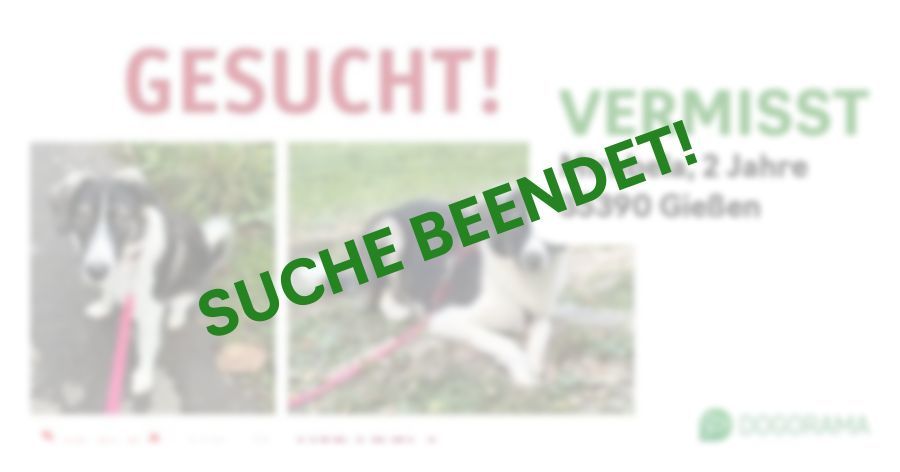 Suchmeldung-Mirabela-Profilbild