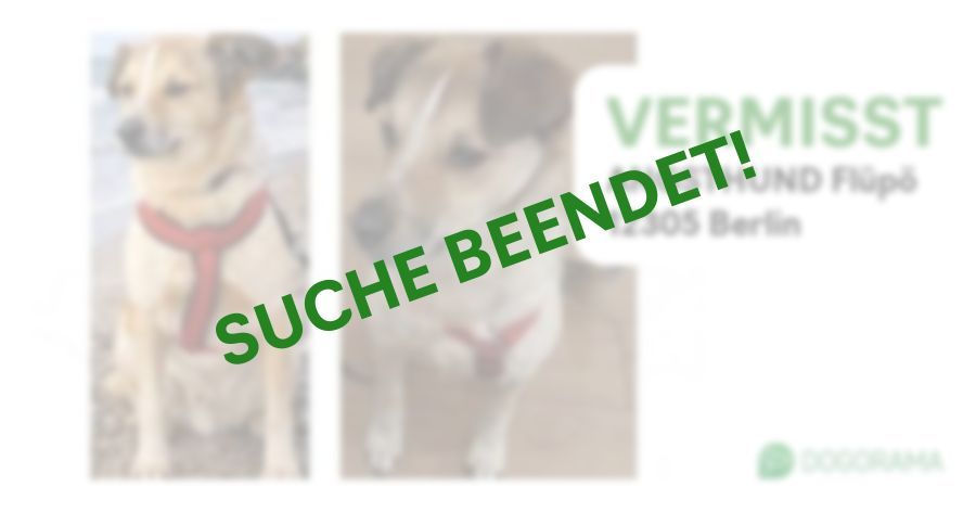 Suchmeldung-ANGSTHUND Flüpö-Profilbild