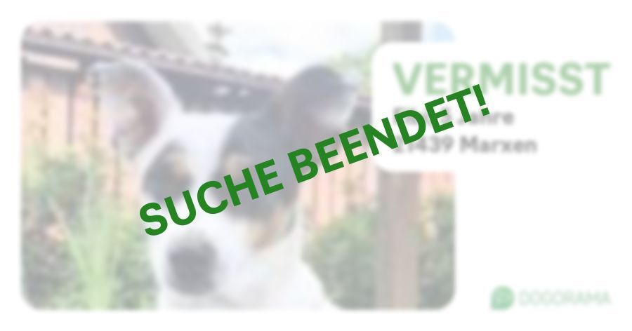 Suchmeldung-Fibi-Profilbild