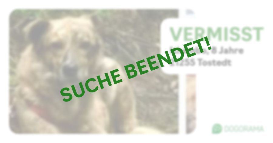 Suchmeldung-Ithembo-Profilbild