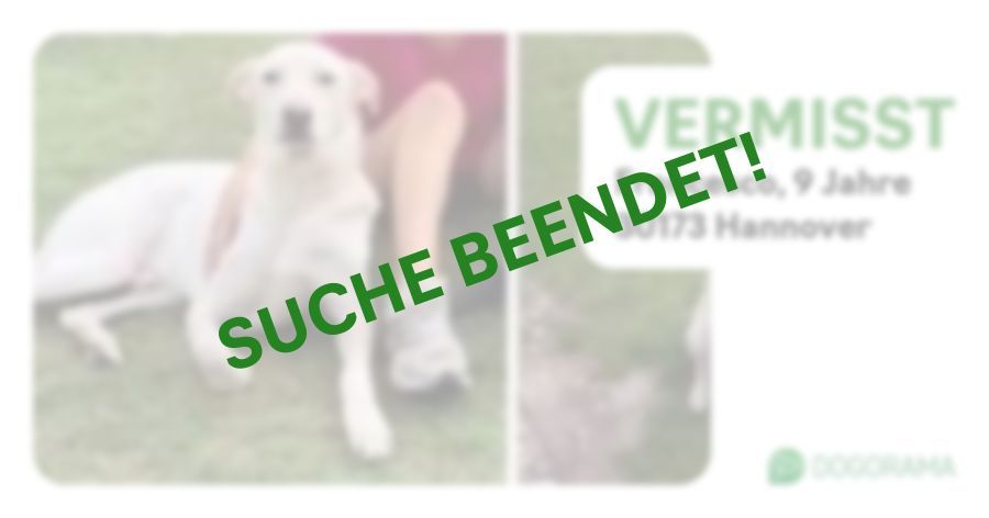 Suchmeldung-Francesco-Profilbild