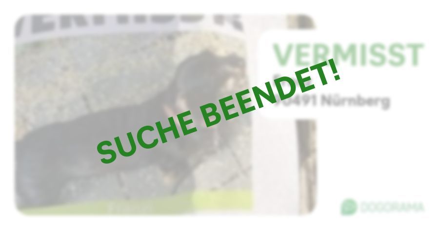 Suchmeldung-Franz-Profilbild