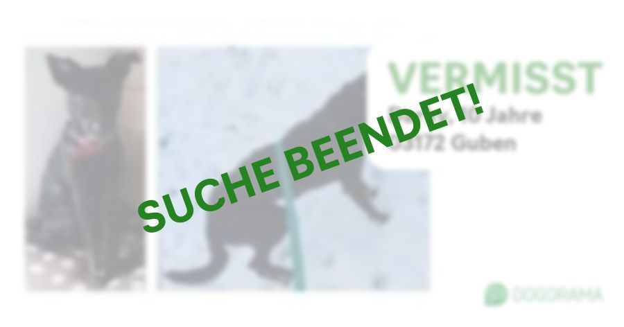 Suchmeldung-Darky-Profilbild