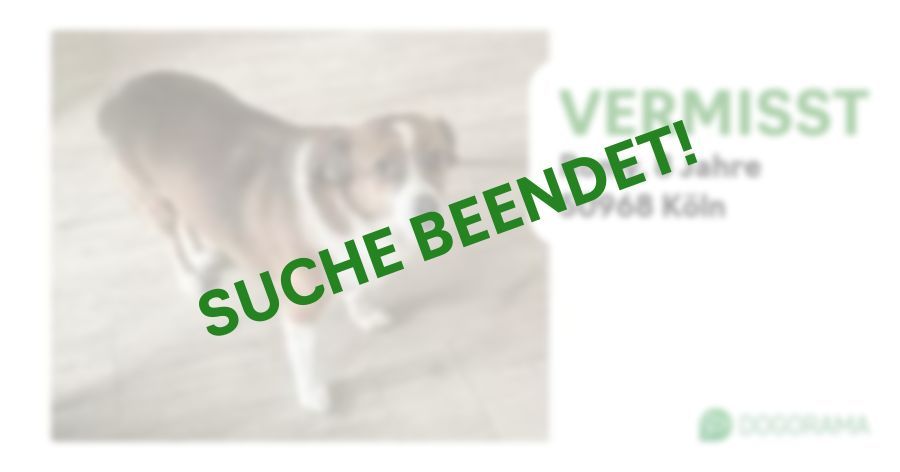 Suchmeldung-Romy-Profilbild