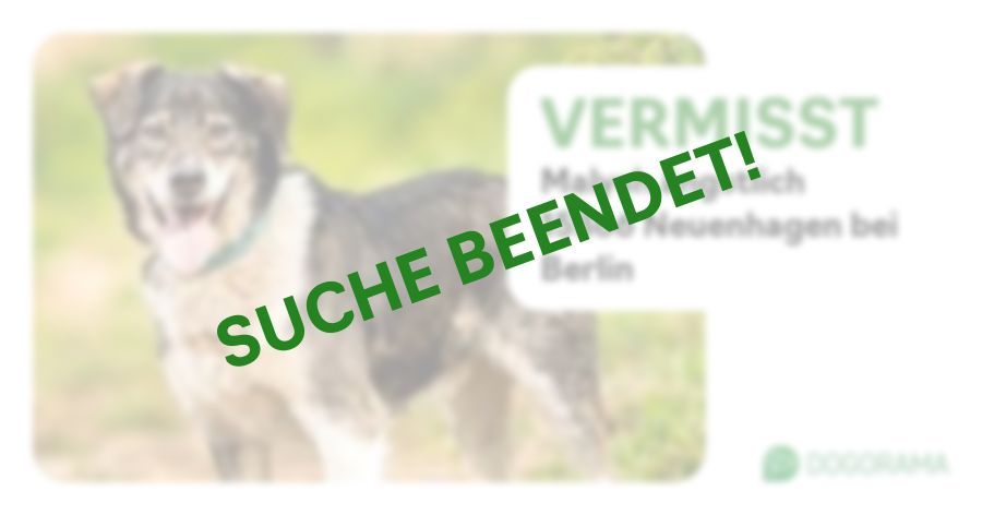 Suchmeldung-Malysh ängstlich-Profilbild